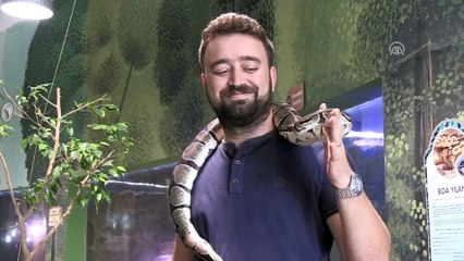 Kayseri'deki hayvanat bahçesi 'üretme çiftliği' gibi