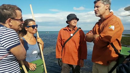 Avant d'aller à la pêche à pied, des règles à connaître