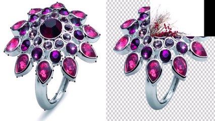 Image editing company:  Expert Clipping