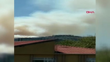 Bursa Bursa'da Orman Yangını -2