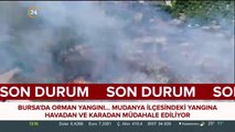 Bursa'daki orman yangını