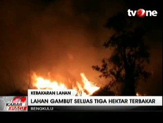 Tiga Hektare Lahan Gambut di Bengkulu Terbakar
