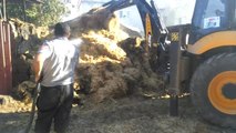 Gaziantep'te Ahır Yangını...6 Büyükbaş Hayvanda Yanık Meydana Geldi