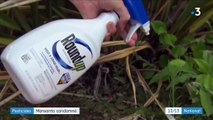 Glyphosate : Monsanto condamné après l'accusation d'un jardinier atteint d'un cancer