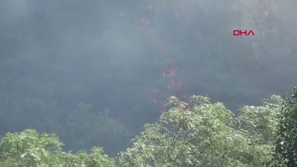 Bursa Bursa'da Orman Yangını 7 Hd