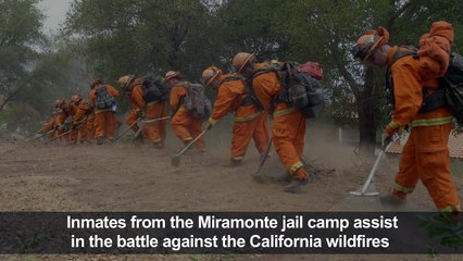 California wildfire: Inmates help battle the blaze