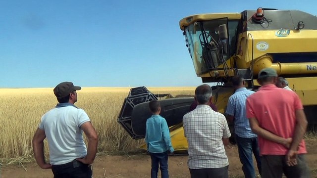 Bitlis Tarım ve Orman Müdürü Fatih Asak: 'Bu yıl yüzde 40 oranında verim artışı beklemekteyiz'