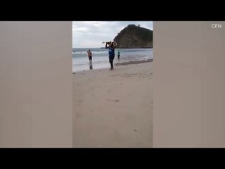 Des braconniers filmés volant des tortues de mer