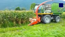 Modern Technology Agriculture Huge Machines and Heavy Agriculture Equipment Ep.2