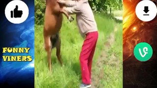 funny fails compilation| funny kids video| funny cat videos| funny pet videos| funny kids| funny vines clean| try not to laugh hard| fortnight funny video| funny dog videos| funny cat & dog