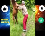 funny fails compilation| funny kids video| funny cat videos| funny pet videos| funny kids| funny vines clean| try not to laugh hard| fortnight funny video| funny dog videos| funny cat & dog