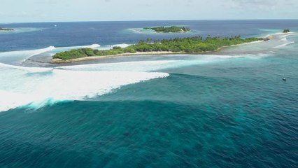 Adrénaline - Surf : HIGHLIGHTS- Freddy Patacchia Wins The Thruster Division