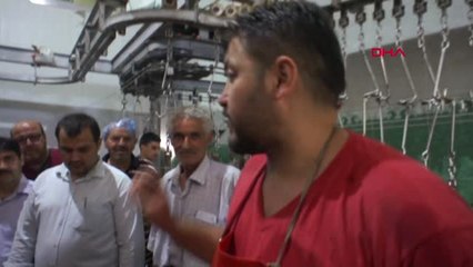 Manisa Alaşehir'de Uygulamalı Kurban Kesim Kursu