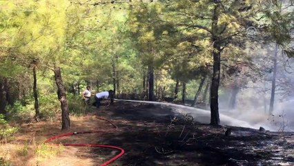 Yayladağı'nda orman yangını - HATAY