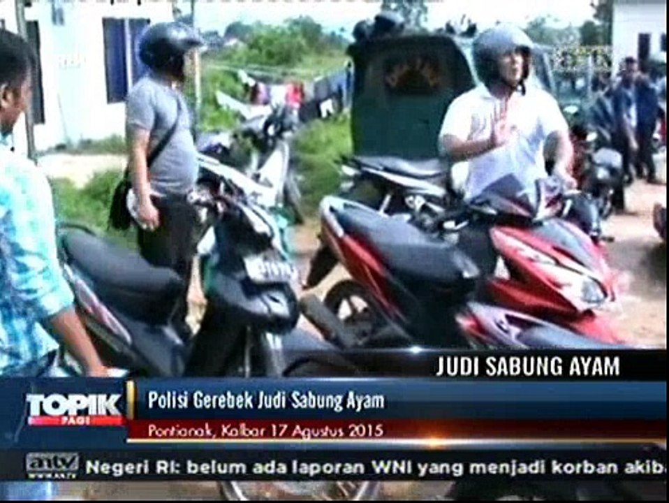 Berkedok Perayaan HUT RI, Judi Sabung Ayam Digerebek Polisi