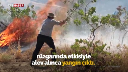 Piknikçilerden kalma küller az daha beldeyi yakıyordu