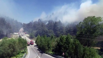 Mudanya'daki orman yangını kontrol altına alındı - BURSA