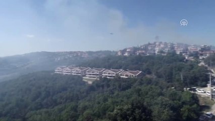 Mudanya'daki Orman Yangını Kontrol Altına Alındı