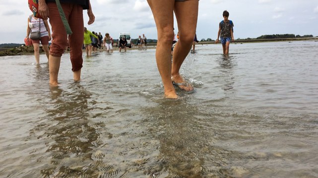 Les traversées de Tatihou