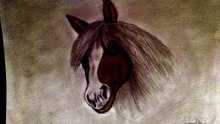 Draw a horse head