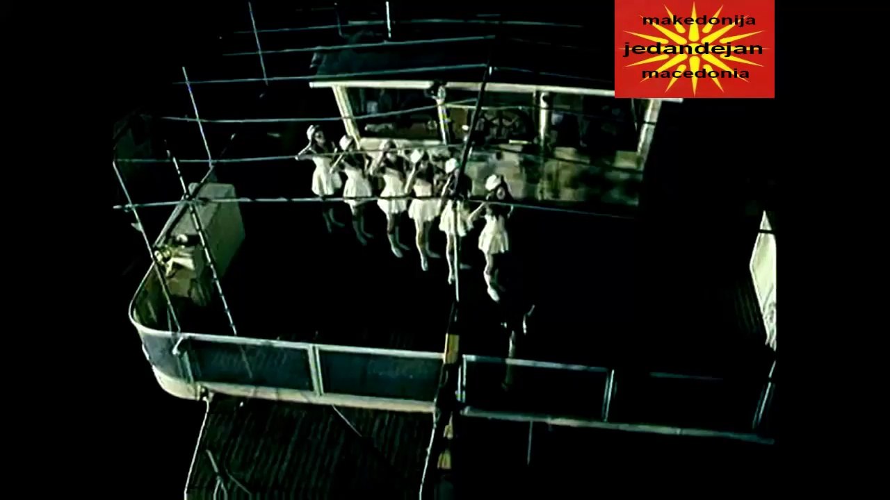 Suncokret-tece dunav hladna voda spot jd