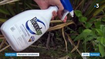 Pesticides : Monsanto condamné aux États-Unis