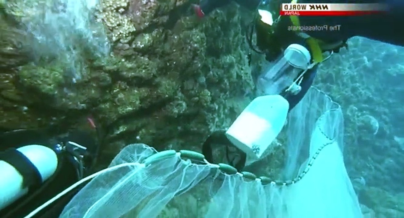 The Professionals S02 Ep08 A Stirring of Dust HD Watch Dailymotion Video