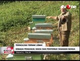 Melixa, Teknologi Canggih Pengawas Lebah Madu
