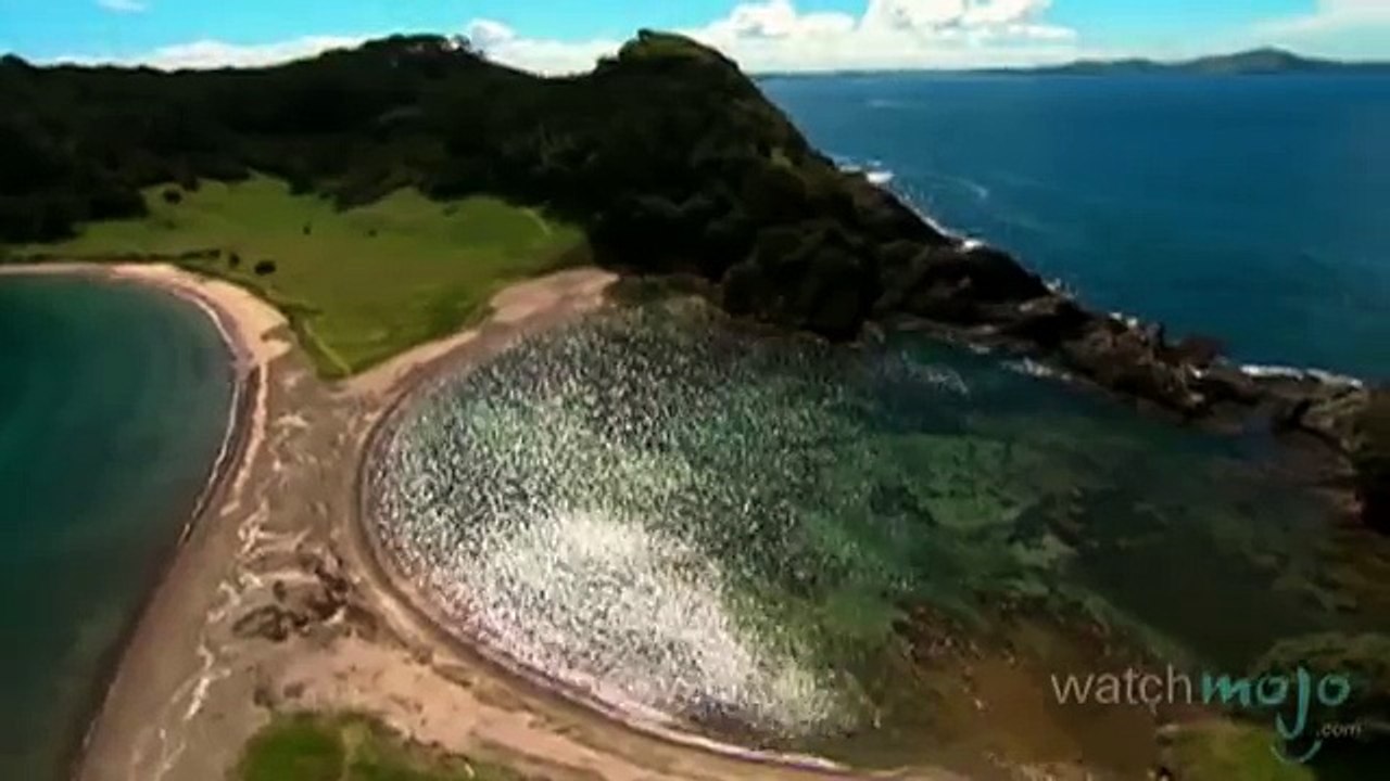 Découvrez Les Îles de la Nouvelle-Zélande