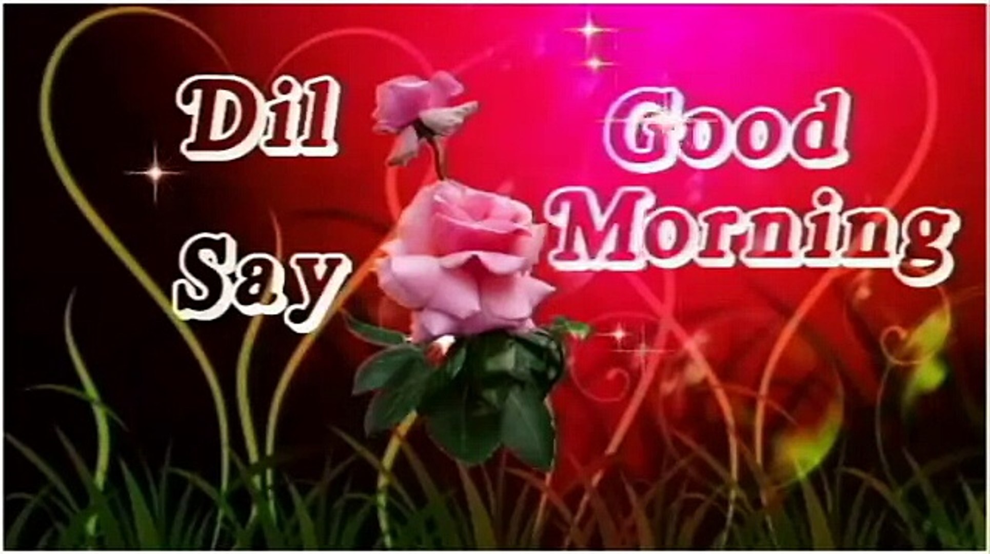Good Morning Video Whatsaap Quotes Beautiful Video Dailymotion