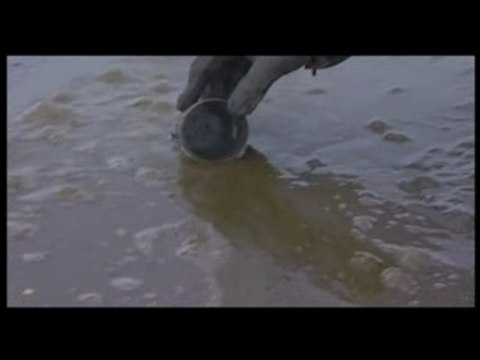 Au commencement était la vase