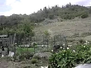 Discussion avec le paysan de Mafate