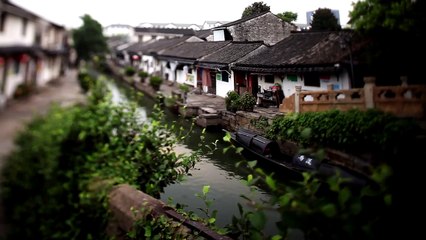 【MipTV Special】MipTV特别VCR：华策总裁赵依芳 Huace CEO Zhao Yifang- A Chinese Lady, A World Dream