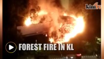 Massive forest blaze near Jalan Duta Court Complex