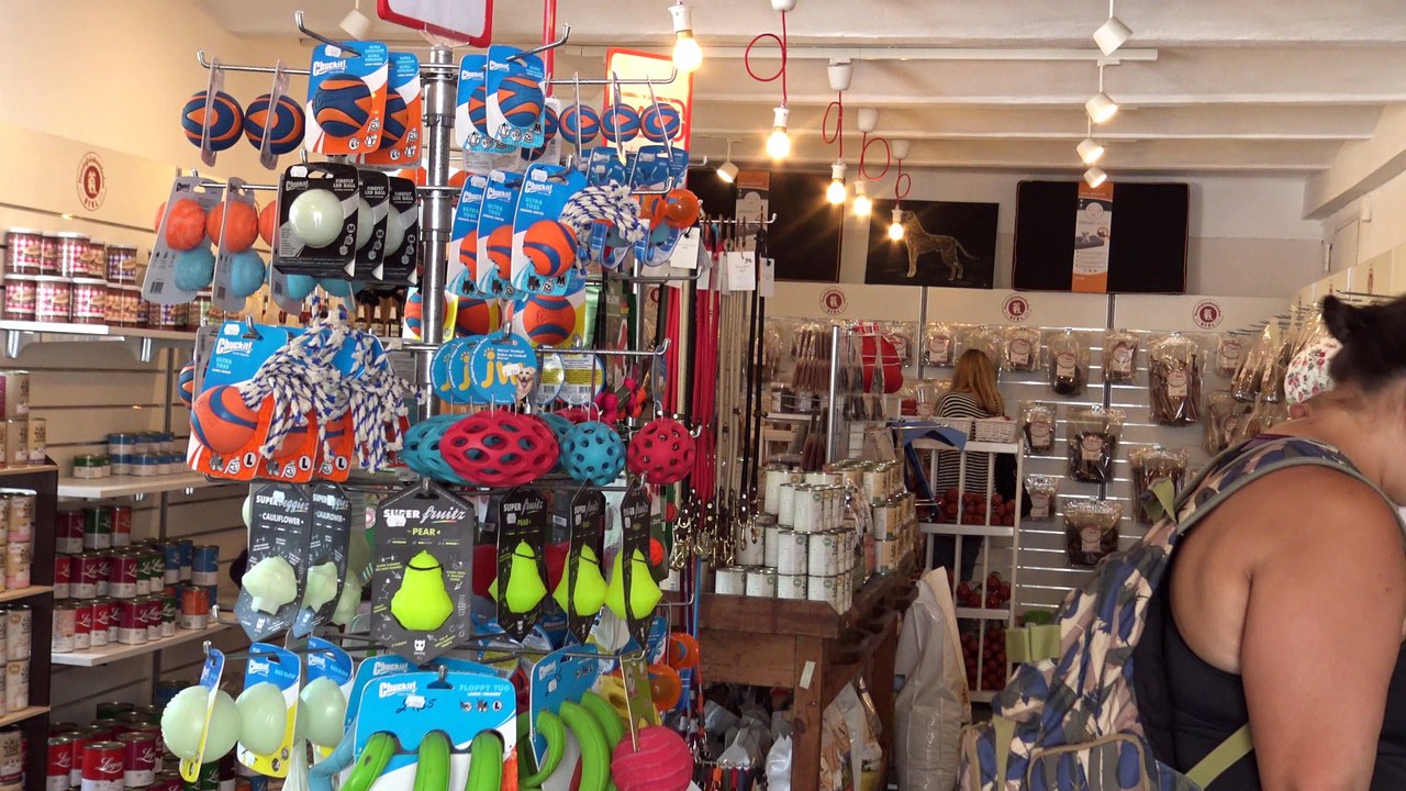 Floridsdorf - Hunde Waschtag im Hundefeinkostladen