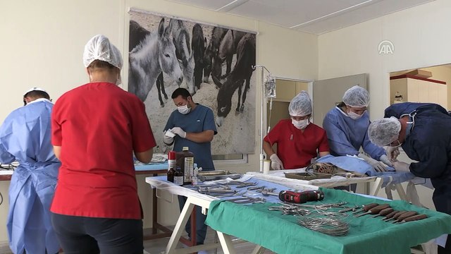 Belediye ekipleri, aracın çarptığı köpek yavrusu için seferber oldu - MARDİN