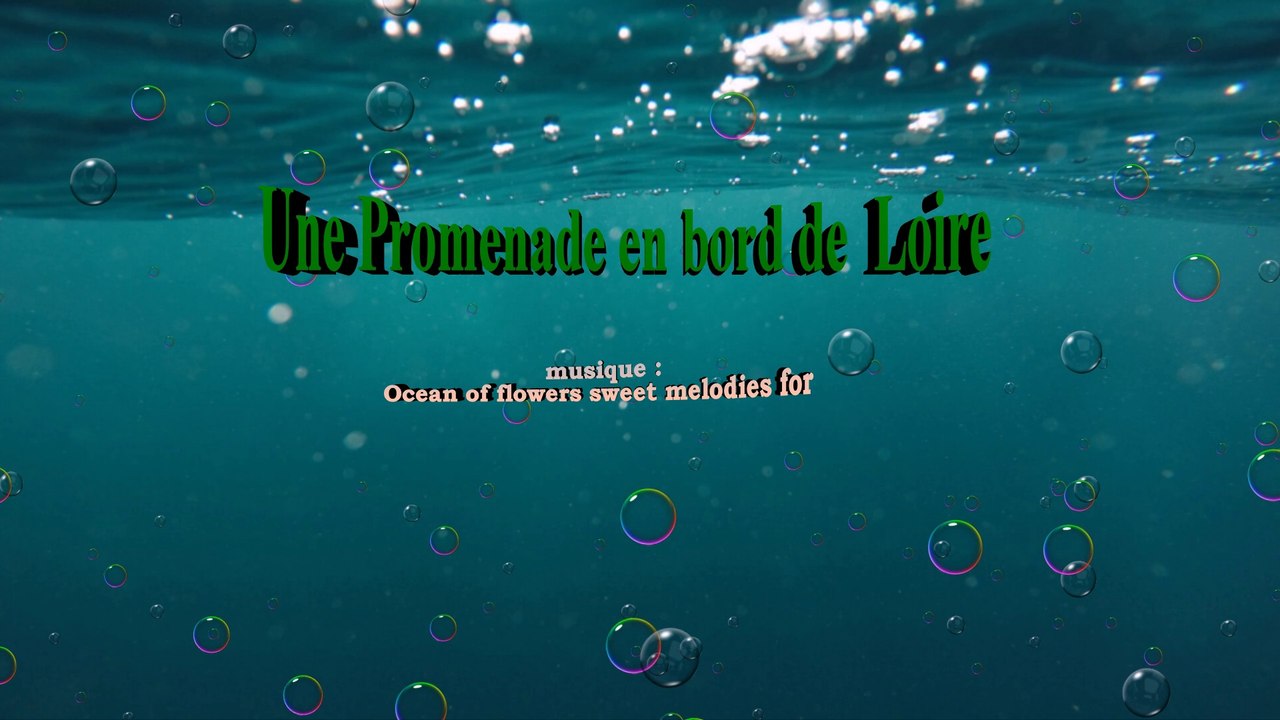 Une promenade sur Les bords de  Loire