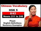 HSK 5 Course - Complete Chinese Vocabulary Course - HSK 5 Full Course / Nouns 211 to 240 (8/43)