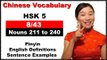 HSK 5 Course - Complete Chinese Vocabulary Course - HSK 5 Full Course / Nouns 211 to 240 (8/43)