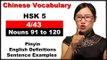 HSK 5 Course - Complete Chinese Vocabulary Course - HSK 5 Full Course / Nouns 91 to 120 (4/43)