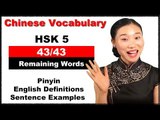 HSK 5 Course - Complete Chinese Vocabulary Course - HSK 5 Full Course / Remaining Words (43/43)