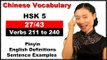 Learn Chinese HSK 5 Vocabulary with Pinyin and English Sentence Examples - Verbs 211 to 240 (27/43)