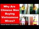 Why Are Chinese Men Buying Vietnames Wives? - Chinese Listening Practice | Chinese Conversation