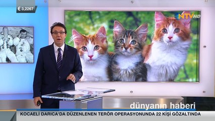 Dünyanın Haberi 23 Şubat 2016