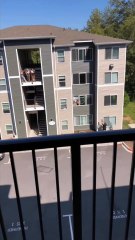 Police Fire Pepperballs at Naked Man in Window