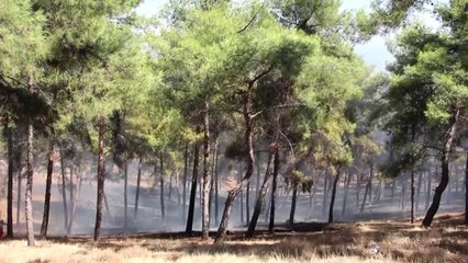 Hatay'da Mesire Alanında Yangın