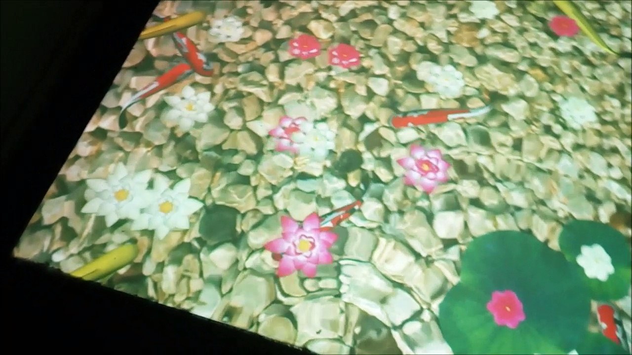 aquarium de guadeloupe 2018