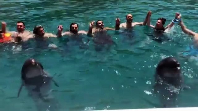 Yunus balıklarının tulumla horon keyfi