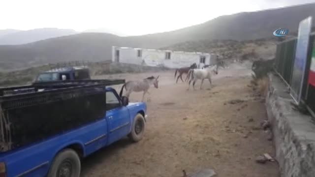 Vanlı Dağcılar 5671 Rakımlı İran'ın Demavend Dağı'na Tırmandı