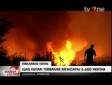 2.400 Warga Mengungsi Akibat Kebakaran Hutan di Spanyol